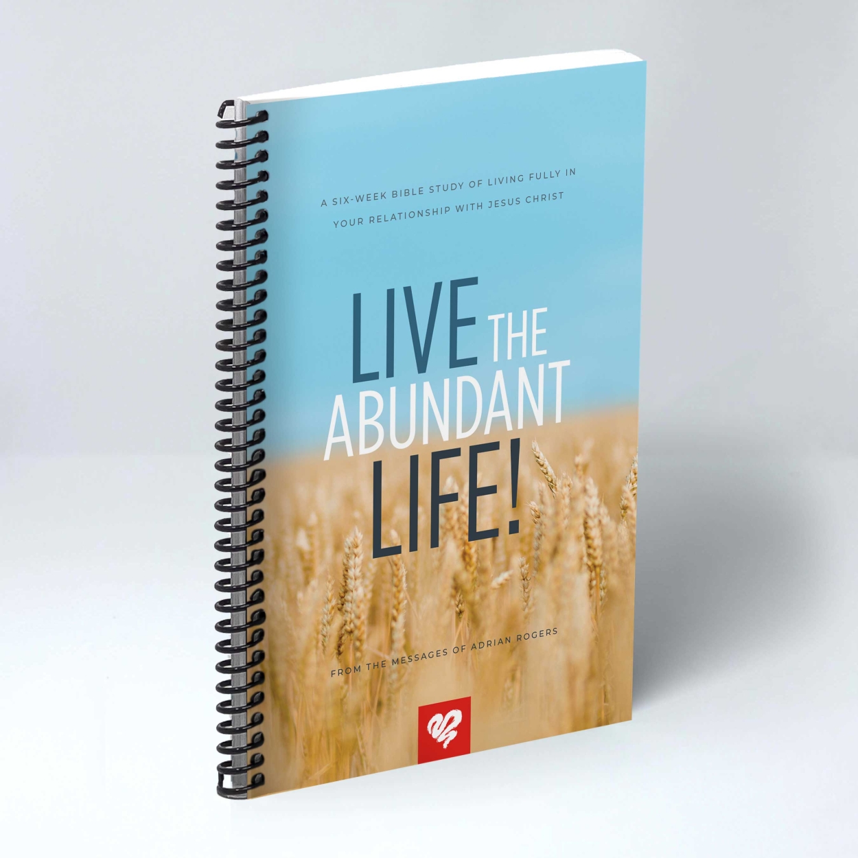 BSS187 Live The Abundant Life STORE GRID 2700x2700
