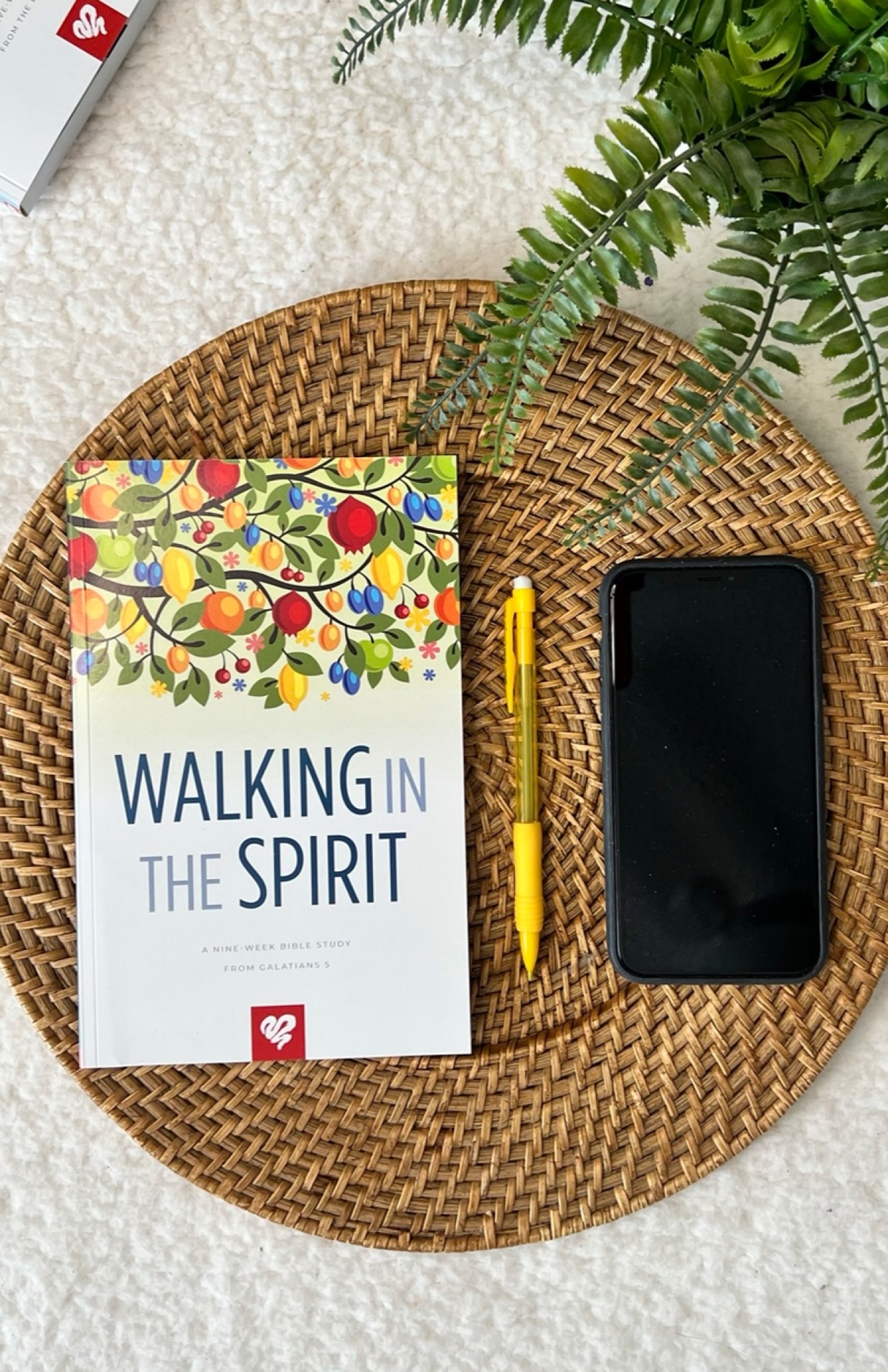 Bss128 walking in the spirit bible study FLAT LAY